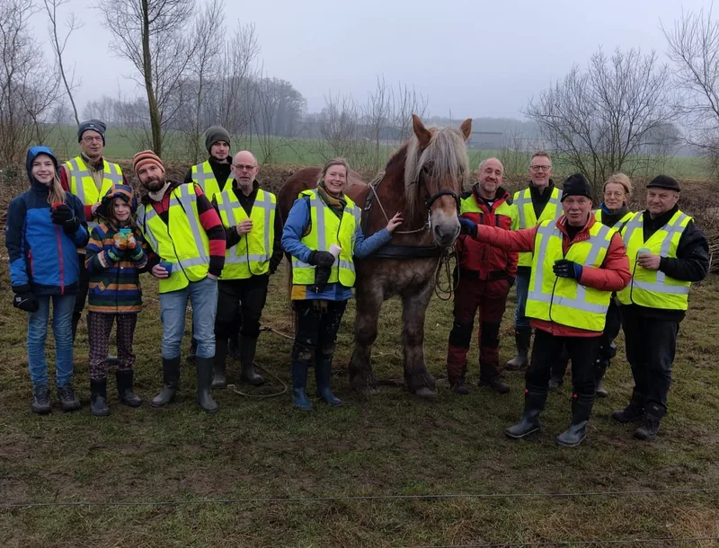 Vrijwilligers kappen bomen rond de ooievaarspaal